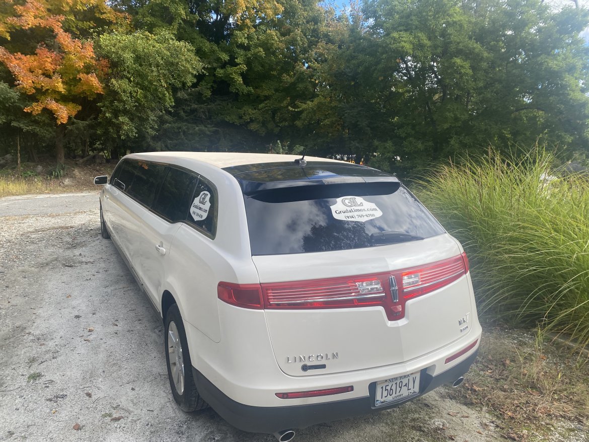Limousine for Sale in Mahpoac ny, NY - Photo 4