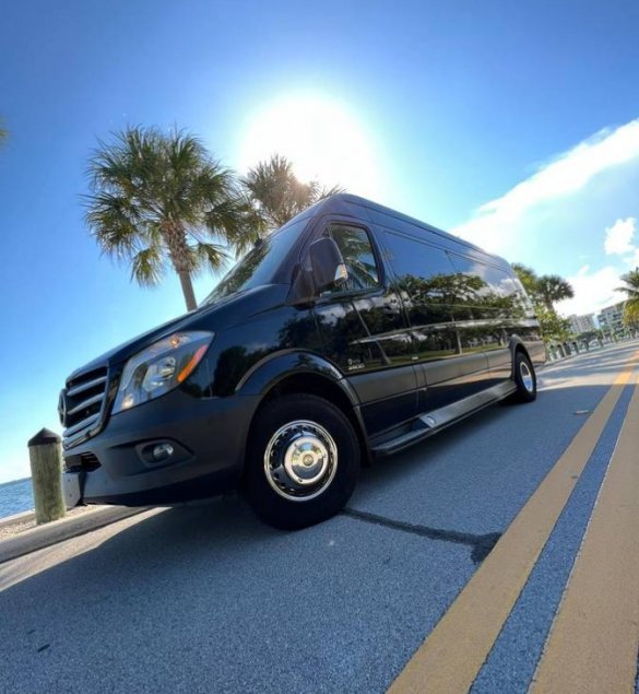 2015 Mercedes-Benz Sprinter Limo Bus for Sale in Baldwin, NY - Photo 2