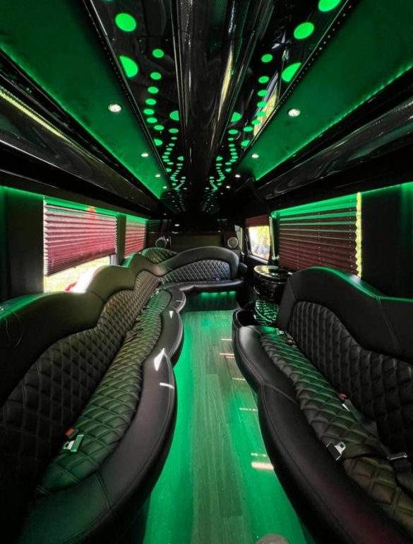 2015 Mercedes-Benz Sprinter Limo Bus for Sale in Baldwin, NY - Main Photo