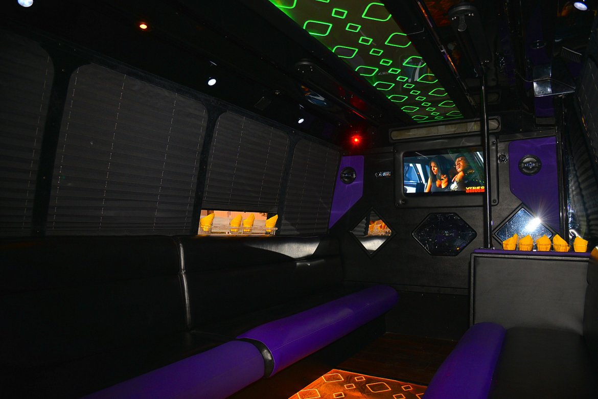 Photo of Limo Bus for sale: 2006 Ford E-450 by Federal