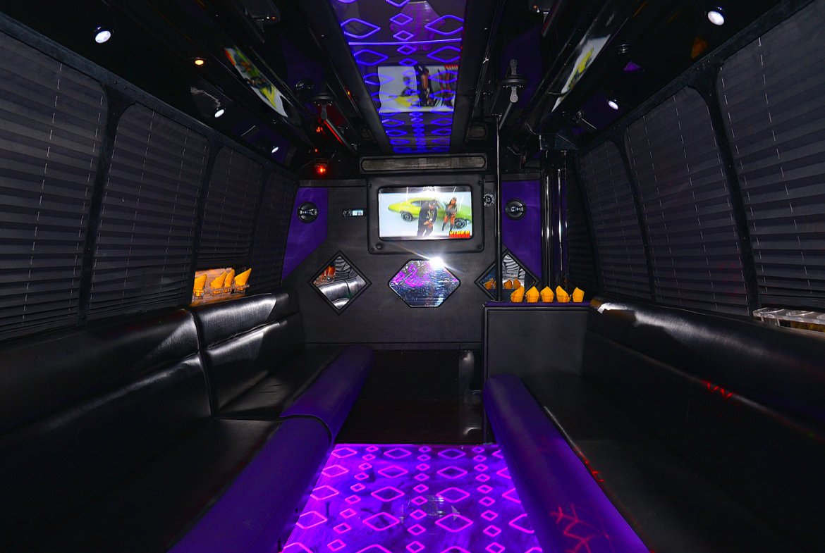 Photo of Limo Bus for sale: 2006 Ford E-450 by Federal