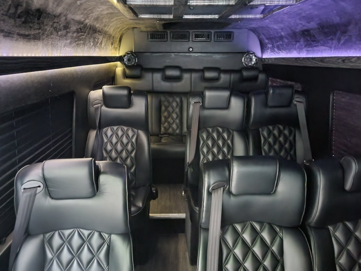 2019 limo land Mercedes-Benz sprinter Sprinter - Photo 4