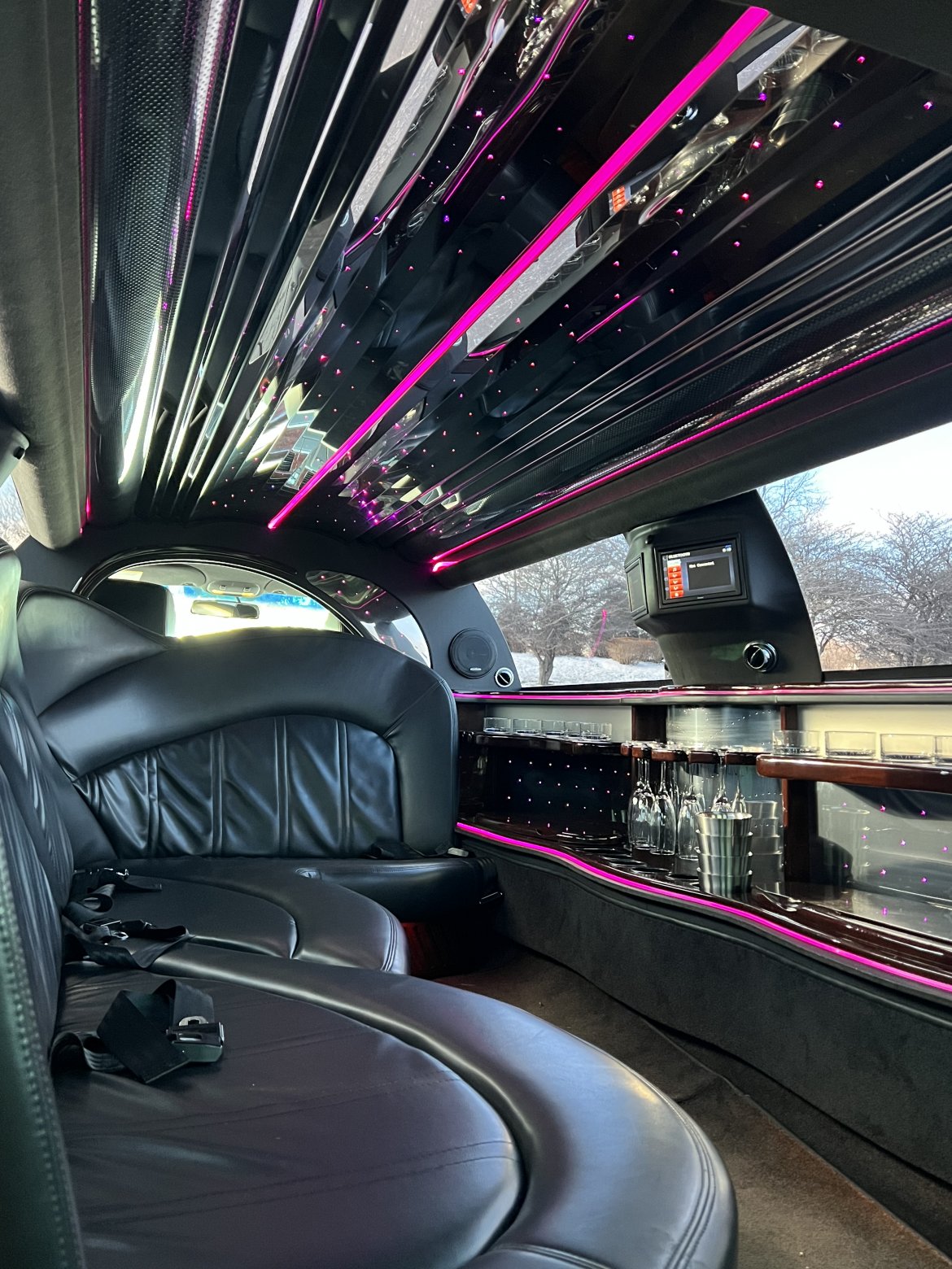Limousine for Sale in Naperville, IL - Photo 10