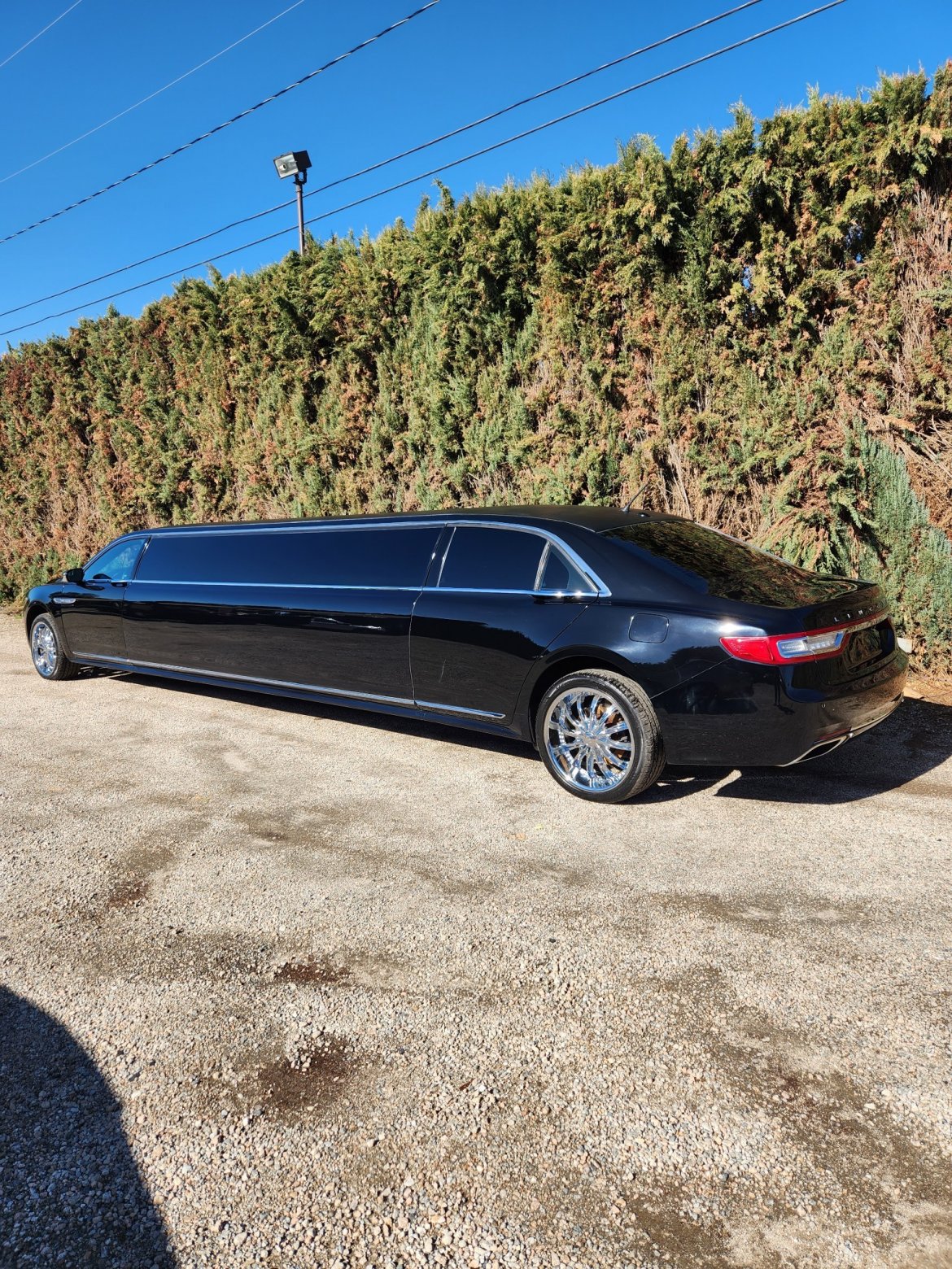 2017 Pinnacle  Lincoln Continental  Limousine - Photo 4