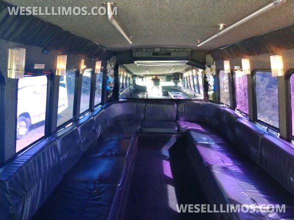 1996 Ford Ford E-450 Limo Bus for Sale in McKeesport, PA - Photo 3
