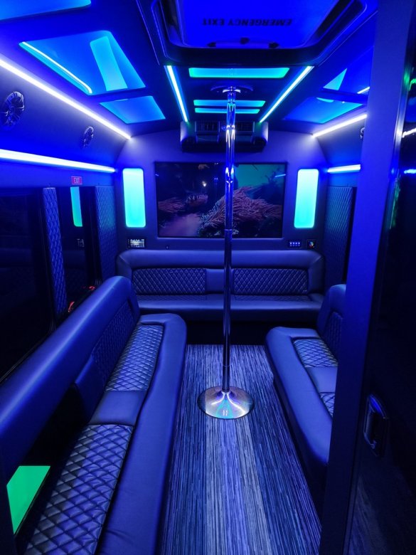 2017 Ford Transit Limo Bus for Sale in Erie, PA - Photo 2