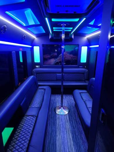 2017 Ford Transit Limo Bus for Sale in Erie, PA - Photo 2