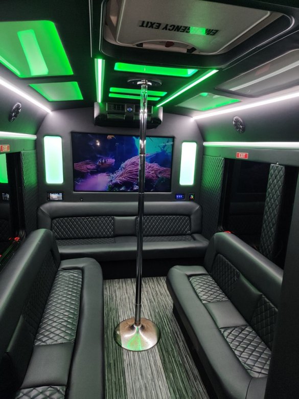 2017 Ford Transit Limo Bus for Sale in Erie, PA - Main Photo