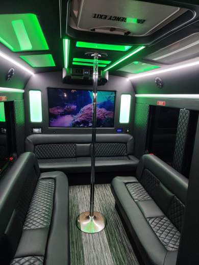 2017 Ford Transit Limo Bus for Sale in Erie, PA - Main Photo