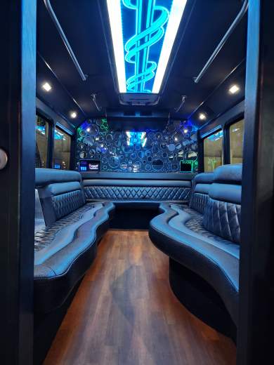 2013 Ford E450 Limo Bus for Sale in Erie, Pennsylvania, US - Photo 4