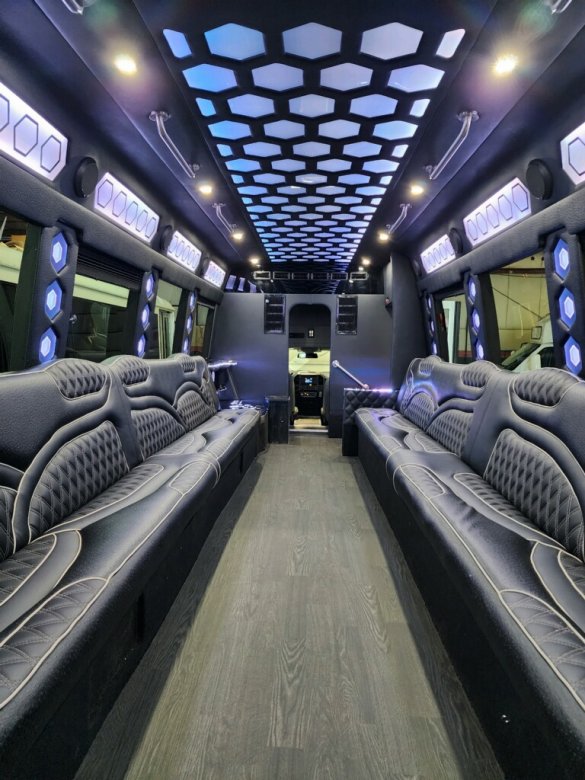 2017 Ford F550 Limo Bus for Sale in Erie, PA - Photo 3