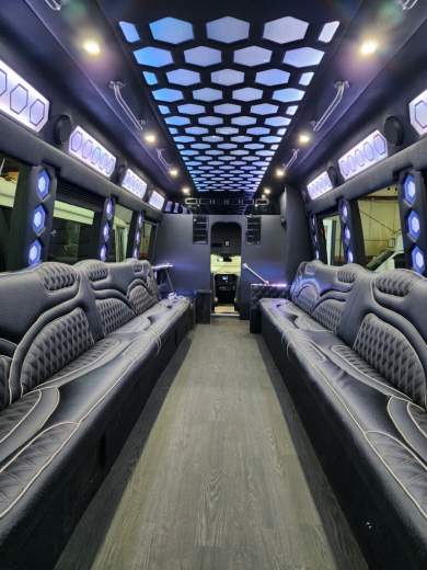 2017 Ford F550 Limo Bus for Sale in Erie, Pennsylvania, US - Photo 3