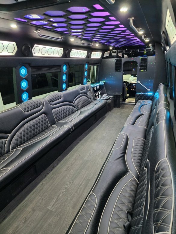 2017 Ford F550 Limo Bus for Sale in Erie, PA - Photo 2