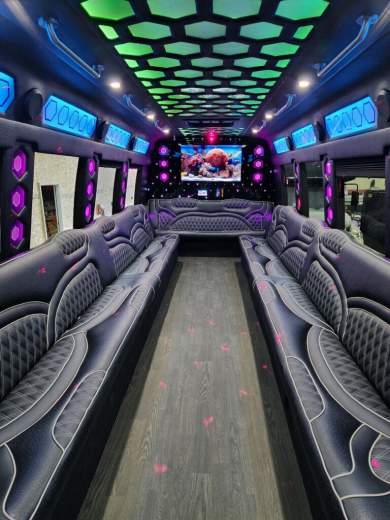 2017 Ford F550 Limo Bus for Sale in Erie, Pennsylvania, US - Photo 4