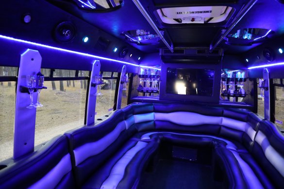 2000 Ford E350 Limo Bus for Sale in Sturgis, SD - Photo 3