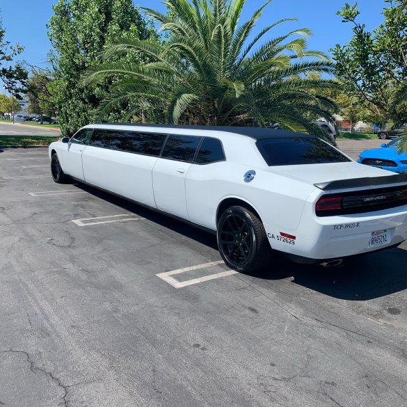 2012 American  Dodge Challenger Limousine