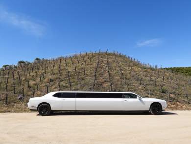 2012 American  Dodge Challenger Limousine