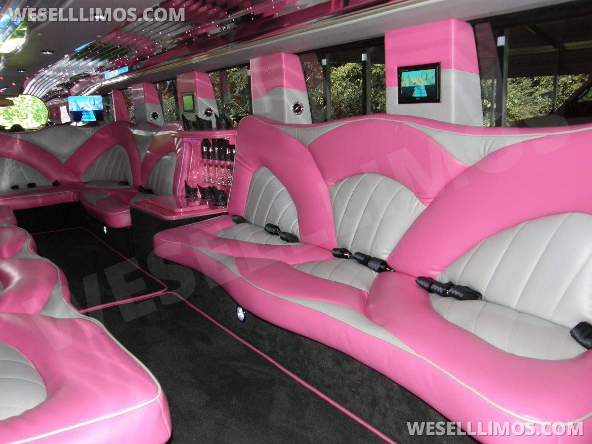 Limousine for Sale in soso, MS - Photo 2