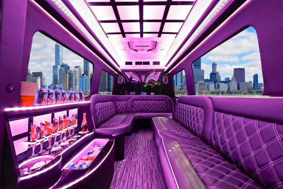 2022 Mercedes-Benz Sprinter 3500 Limo Bus for Sale in Santa Clarita, CA - Photo 2