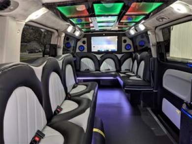 2019 Springfield Coach Mercedes-Benz Metris Sprinter