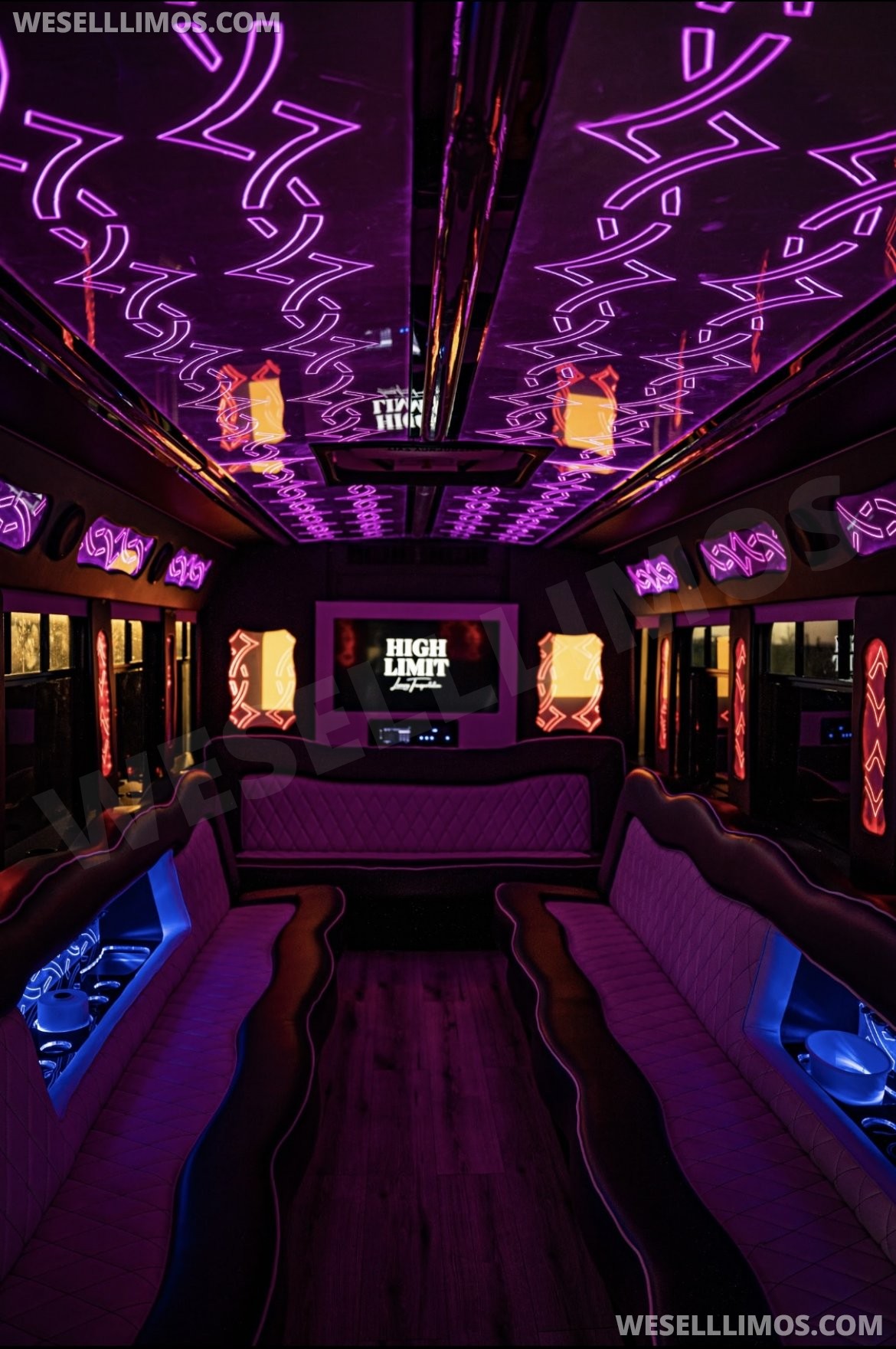 2019 Ford E450 Limo Bus (25 Passenger) Fire sale. Make offer - Photo 3