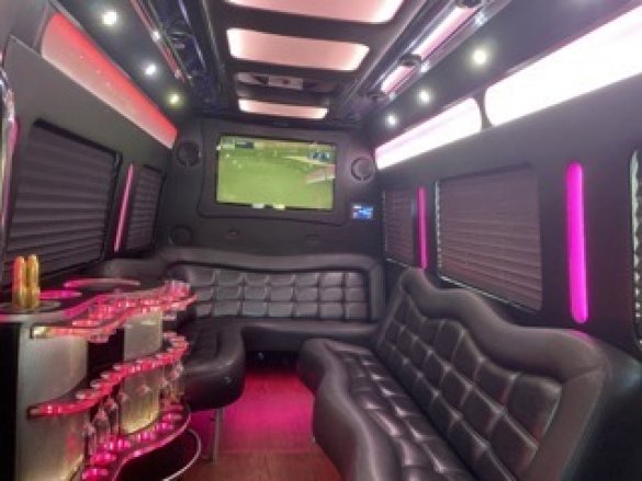 2014 Mercedes-Benz Sprinter Sprinter for Sale in BATON ROUGE, LA - Photo 3