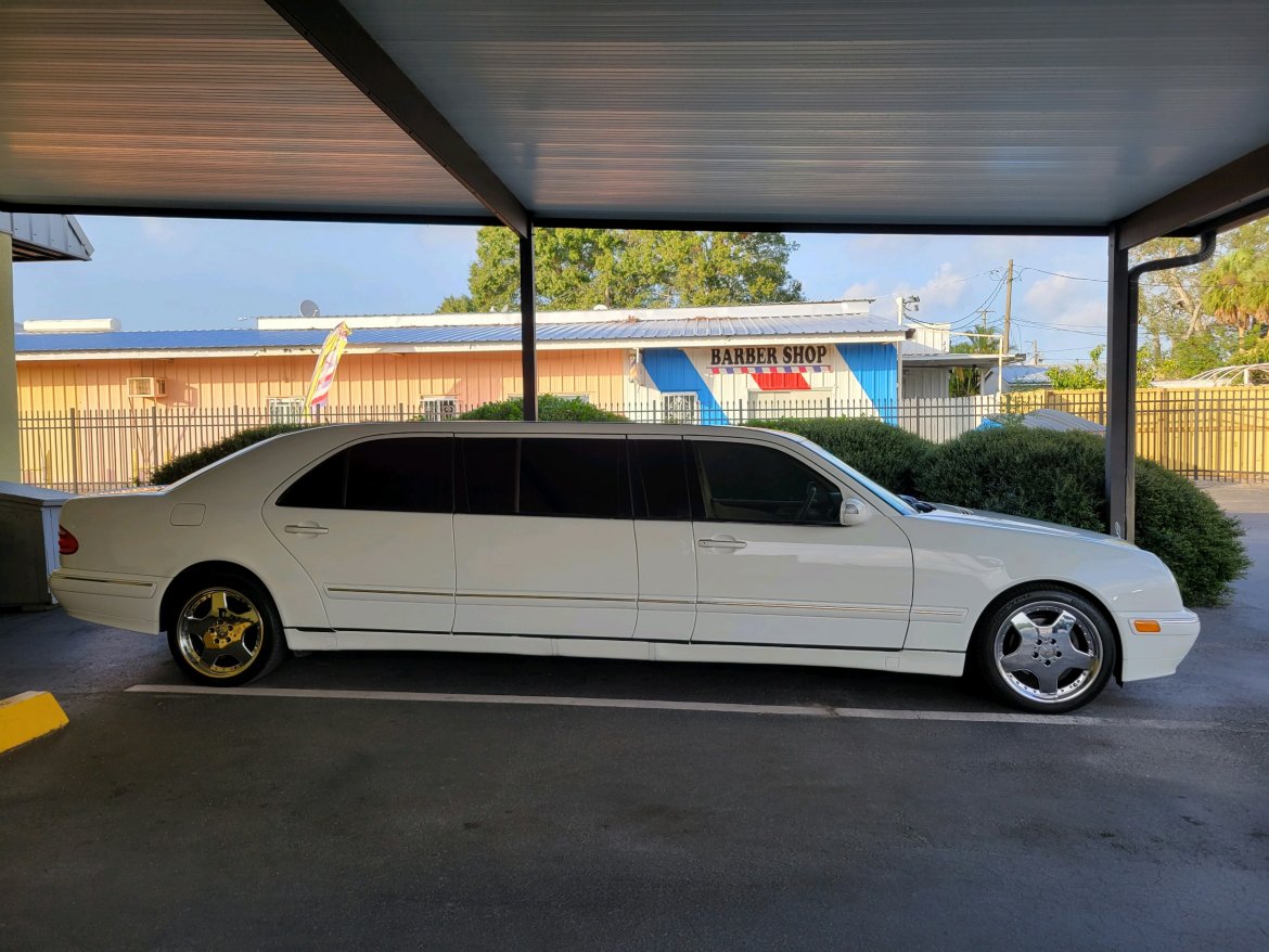Exotic for Sale in Tampa, FL - Photo 4