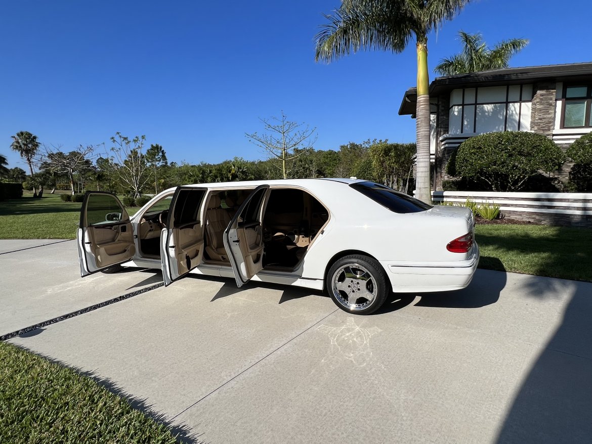 Exotic for Sale in Tampa, FL - Photo 3