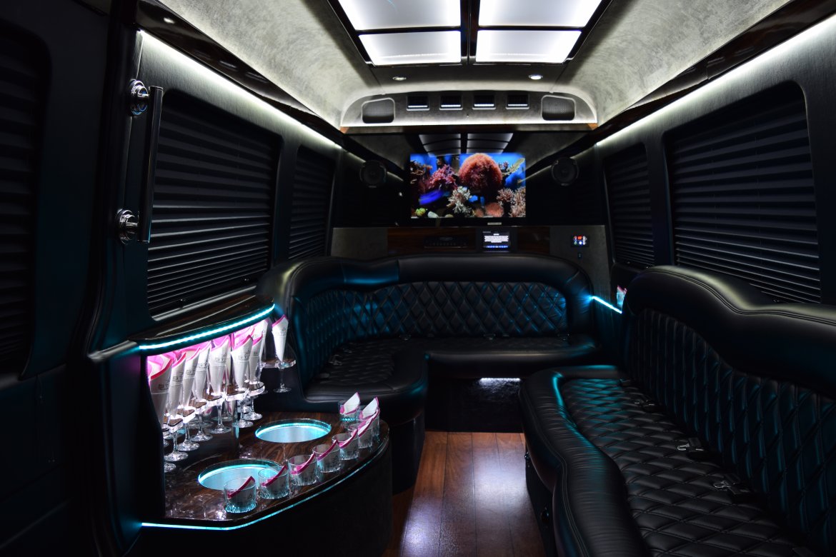 Sprinter for Sale in Eagan, MN - Photo 15