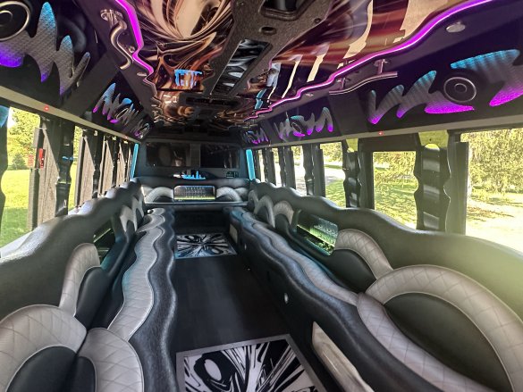 2015 Ford 28 Passenger F-550 Limo Bus for Sale in Morgaville, NJ - Photo 2