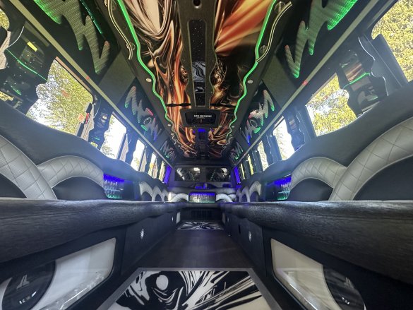 2015 Ford 28 Passenger F-550 Limo Bus for Sale in Morgaville, NJ - Photo 3