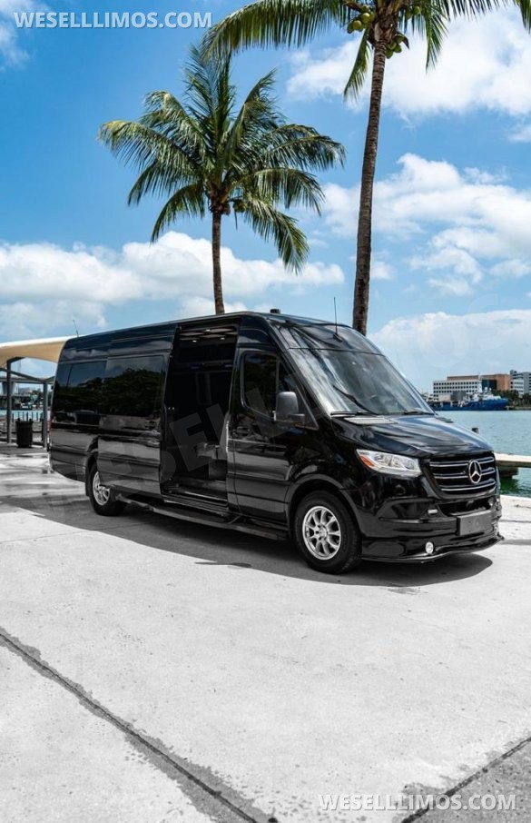 2019 Mercedes-Benz Sprinter 2500 LIMO Sprinter for Sale in Miami, FL - Main Photo