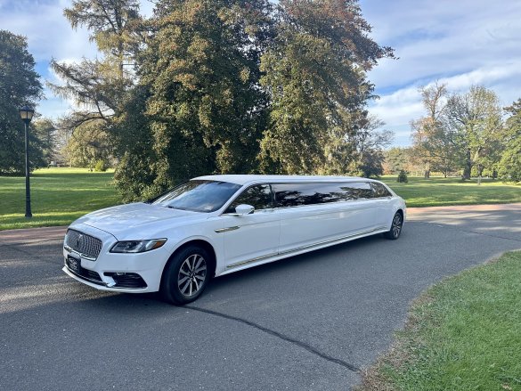 2017 Lincoln 140" Stretch Limousine for Sale in Morganville, NJ - Photo 2