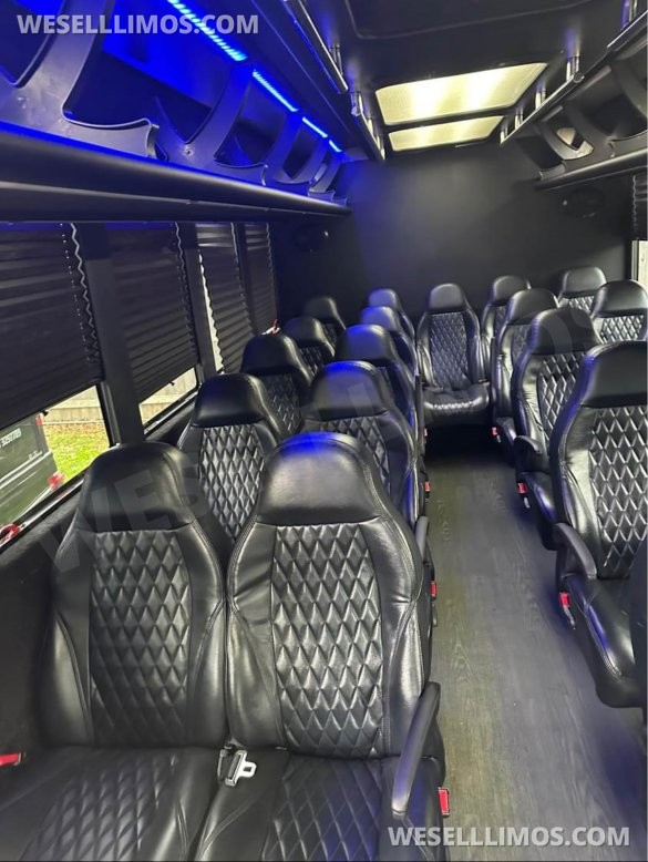 2017 Ford E450 Limo bus