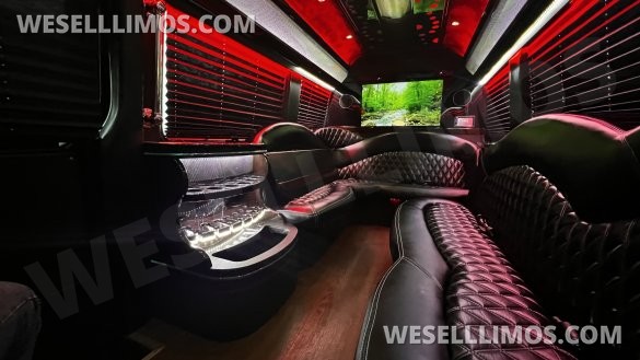 2016 Mercedes-Benz Sprinter 3500 170 Ext Limo By  Executive Coach Builders