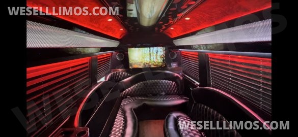 2016 Mercedes-Benz Sprinter 3500 170 Ext Limo By  Executive Coach Builders