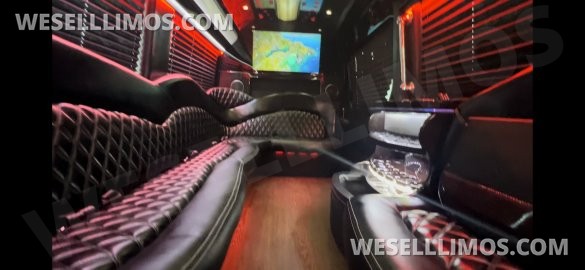 2016 Mercedes-Benz Sprinter 3500 170 Ext Limo By  Executive Coach Builders