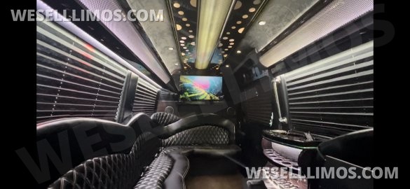 2016 Mercedes-Benz Sprinter 3500 170 Ext Limo By  Executive Coach Builders