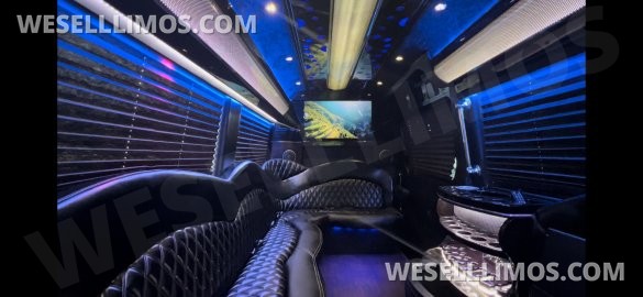 2016 Mercedes-Benz Sprinter 3500 170 Ext Limo By  Executive Coach Builders