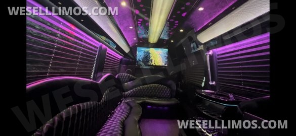 2016 Mercedes-Benz Sprinter 3500 170 Ext Limo By  Executive Coach Builders