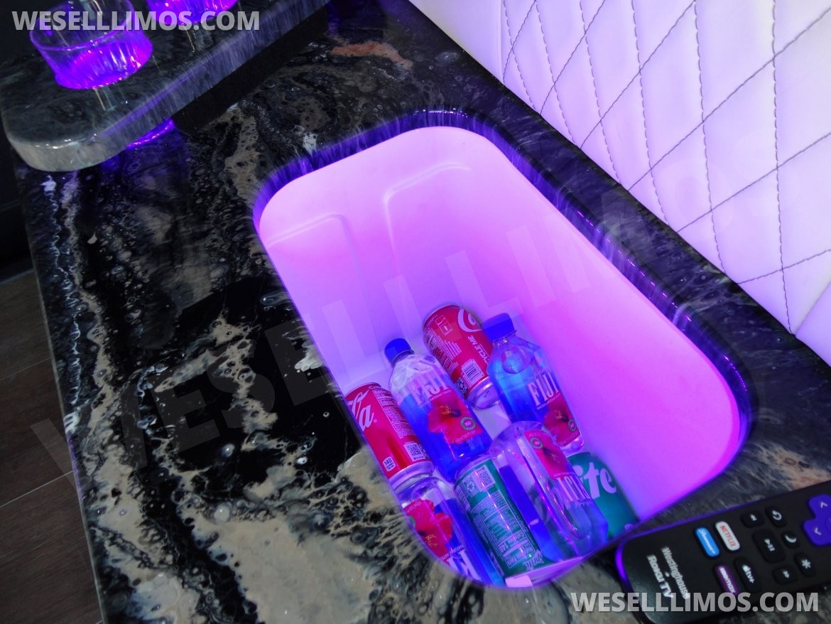 Photo of Sprinter for sale: 2019 Mercedes-Benz Metris CEO Jet 24&quot; Limo 24&quot; by GCI