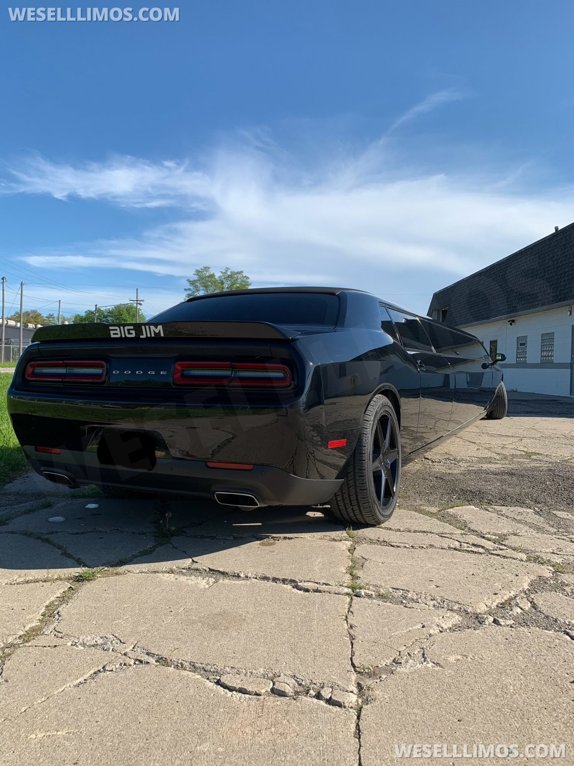 2015 Tiffany Dodge Challenger Limousine - Photo 2