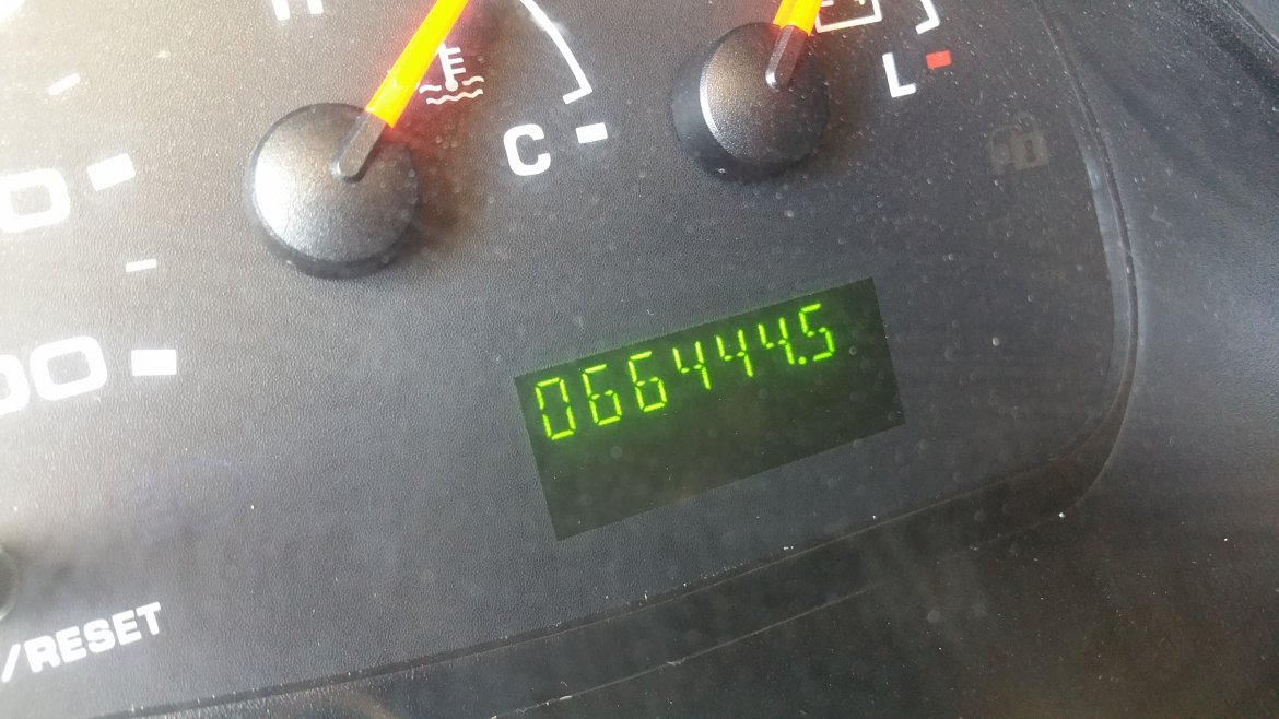 Photo of Limo Bus for sale: 2008 Ford E 450 by Tiffany