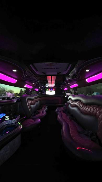 2008 Hummer H2 Limousine 165” 15 pax