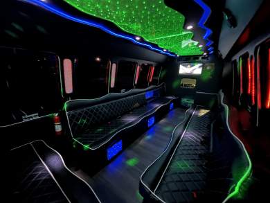 2012 Ford E450 Limo Bus for Sale in Richmond, Virginia, US - Photo 4
