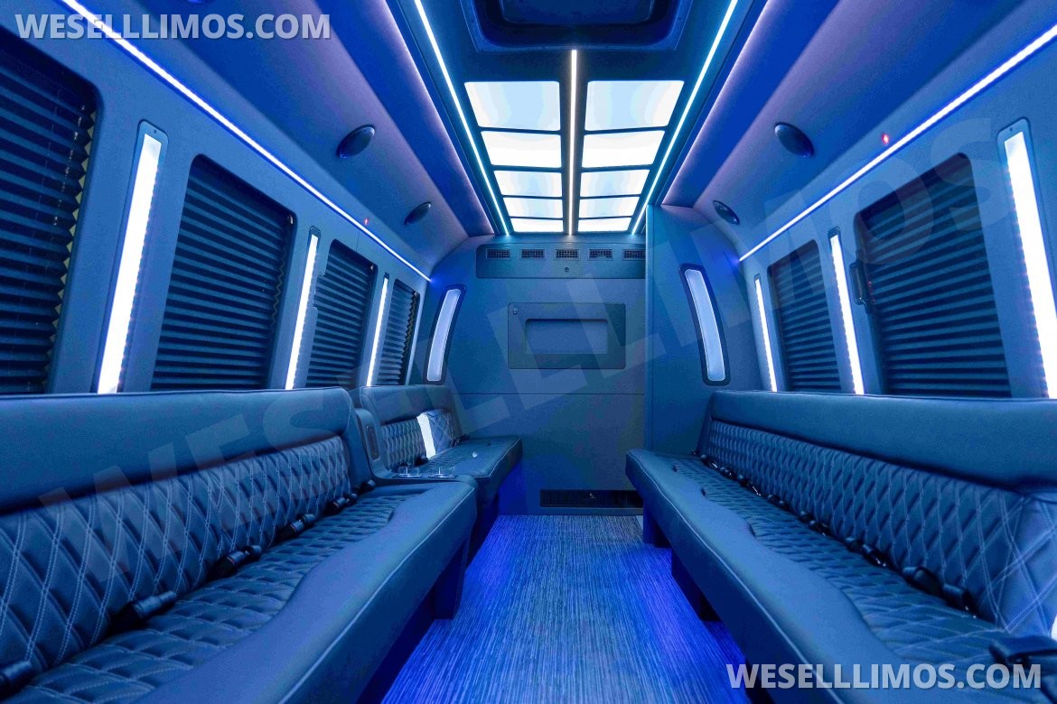 F550 Gas OR Diesel Limo Bus by LGE Coachworks - Photo 4