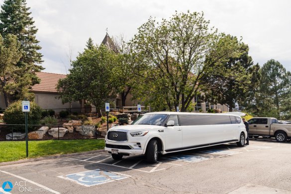 2019 Pinnacle Infiniti QX80 SUV Stretch