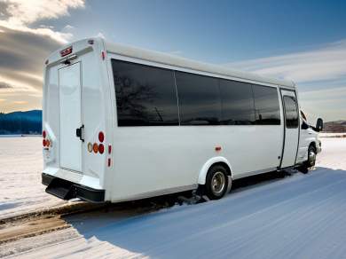 2016 Ford E-450 Limo Bus for Sale in Erie, PA - Photo 2