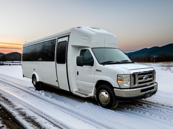 2016 Ford E-450 Limo Bus for Sale in Erie, PA - Photo 3