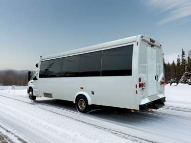 2016 Ford E-450 Limo Bus for Sale in Erie, Pennsylvania, US - Photo 4